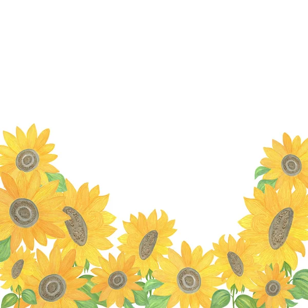 Watercolour floral bottom page banner arrangement, autumn  illustration of yellow sunflowers