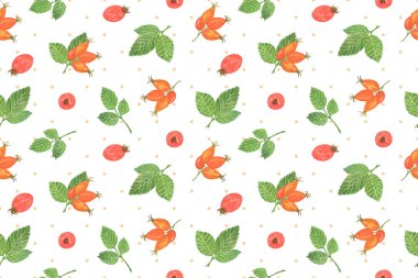 tekrar desen, yeşil yaprakları ile kırmızı kuşburnu meyveleri suluboya çiçek kompozisyonu