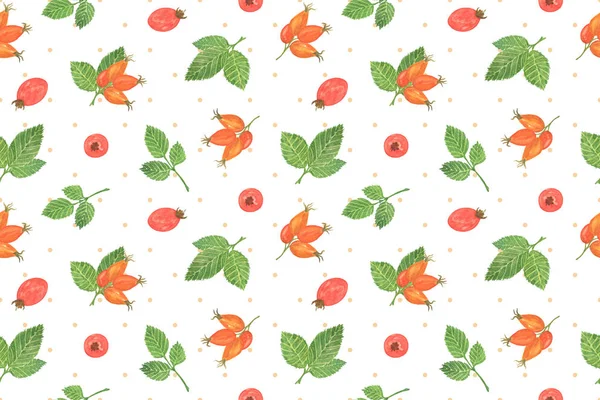 Muster wiederholen, Aquarell-Blütenkomposition aus roten Hagebuttenbeeren mit grünen Blättern — Stockfoto