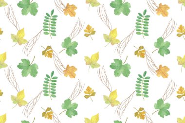 El çizilmiş suluboya yeşil ve sarımsı sonbahar ağacı yaprakları ve dalları