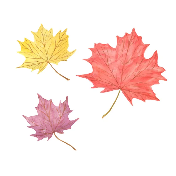Ręcznie rysowane akwarela czerwony i żółty jesienny klon liści drzew, prosty wzór — Zdjęcie stockowe