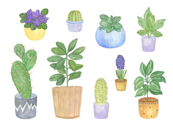 Un conjunto de plantas de interior dibujadas a mano, acuarela botánica ilustración — Foto de Stock