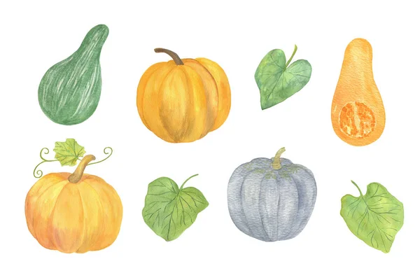 Original hand drawn watercolor pumpkins set for halloween and autumn celebrations — ストック写真