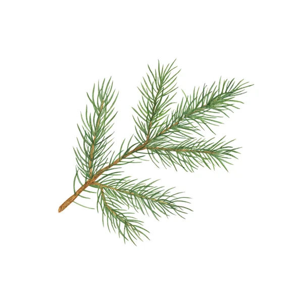 Fir tree branch isolated watercolor illustration simple hand drawn festive mood pattern for greeting card, winter holiday celebration design — Stock Photo, Image