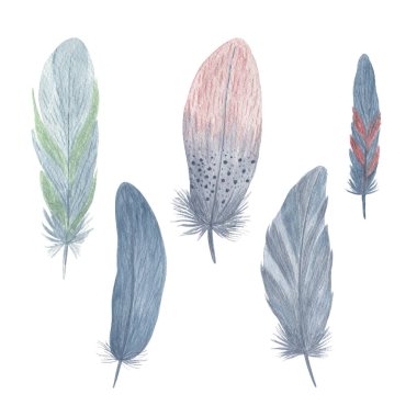 Renkli süslü kuş tüyleri suluboya illüstrasyon, yaratıcı kırsal tasarım için dekoratif kanatlar, düğün davetiyesi, ev yapımı tekstil.