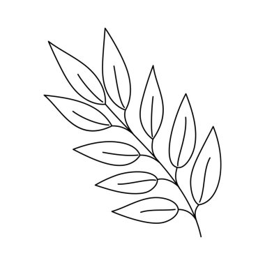 Yaprak çizimi basit el çizimi çizimi vektör illüstrasyonu, çevre projeleri, doğa konsepti, boyama sayfası, koleksiyon defteri, çizgi çizimi