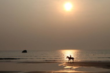 Hint okyanusunda gün batımında sahilde at
