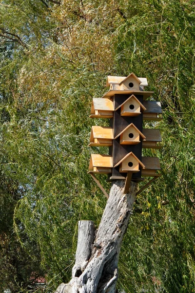 Wooden Bird Nests Tree — Stock Photo, Image