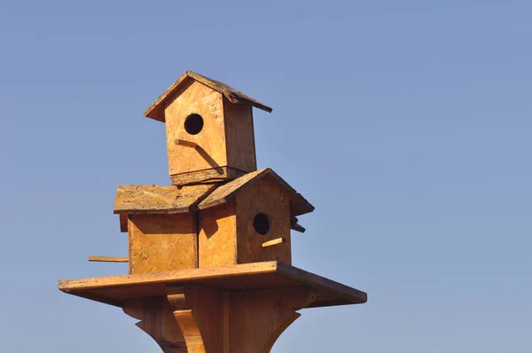 Houten Vogelnesten Boom — Stockfoto