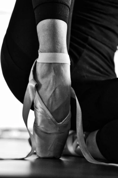 Parmaklarının ucunda yükselen balerinler