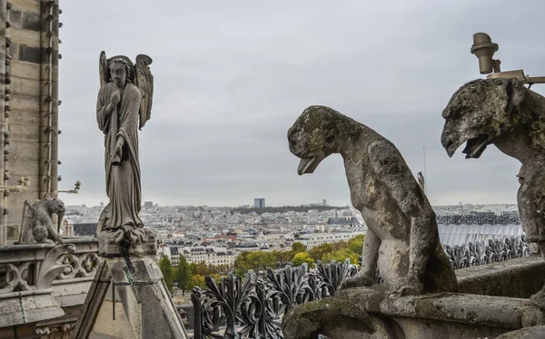 Quimera Gárgola Catedral Notre Dame Paris Francia —  Fotos de Stock