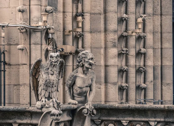 Quimera Gárgula Catedral Notre Dame Paris França — Fotografia de Stock