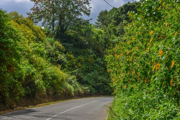 Horská Silnice Podzim Dalat Vietnam Dalat Nachází 1500 Metrů Nad — Stock fotografie