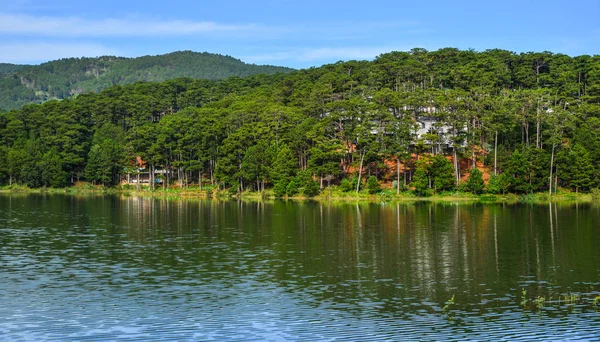 Çam Ormanıyla Lake Tuyen Lam Bahar Zaman Dalat Vietnam — Stok fotoğraf