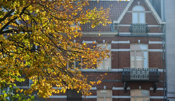 Antik Bina Arka Planda Bruges Şehir Merkezinde Belçika Ile Sonbahar — Stok fotoğraf