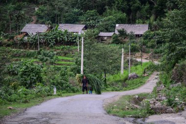 Sapa, Vietnam - 31 Mayıs 2016. Sapa, Kuzey Vietnam dağ yolu üzerinde çim taşıyıcı.