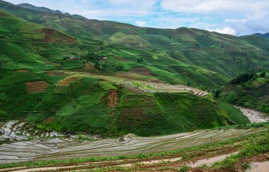Kuzey Vietnam güzel teraslı pirinç tarlaları yağmur sezon.