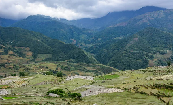 Beautiful terraced rice fields on rain season in Northern Vietnam.