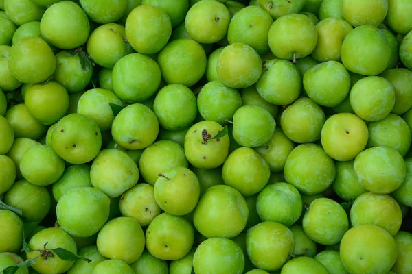 Rijpe Groene Zure Pruimen Watertanden Zure Pruimen Kerspruim — Stockfoto