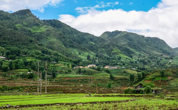 Prachtige Terrasvormige Rijstvelden Regenseizoen Noord Vietnam — Stockfoto