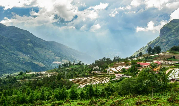 Belle Risaie Terrazze Nella Stagione Delle Piogge Nel Vietnam Del — Foto Stock