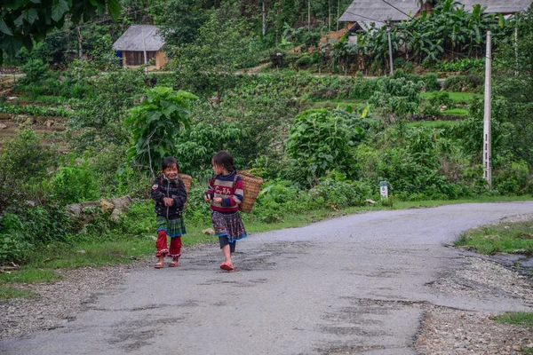 Vietnam Mayo 2016 Las Chicas Hmong Llevan Hierba Casa Vietnam — Foto de Stock