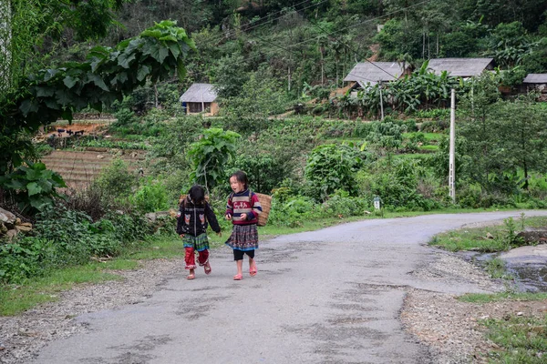 Vietnam May 2016 Hmong Girls Carry Grass Home Vietnam Mountain — Stock Photo, Image