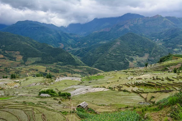 Beautiful terraced rice fields on rain season in Northern Vietnam.