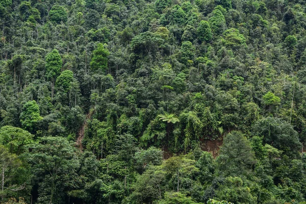 Scène Montagne Sapa Nord Vietnam Sapa Est Situé Environ 350 — Photo