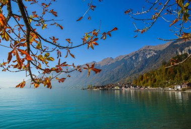 Brienz, İsviçre Gölü tarafındaki küçük bir kasaba. Turkuaz Gölü Brienz muhteşem dağ manzarası arasında ayarlanır.