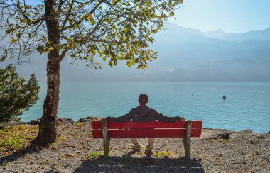 Lakeside Park Brienz, İsviçre ahşap Bank ile zevk genç bir adam.