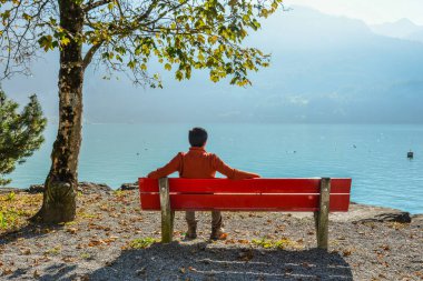 Lakeside Park Brienz, İsviçre ahşap Bank ile zevk genç bir adam.