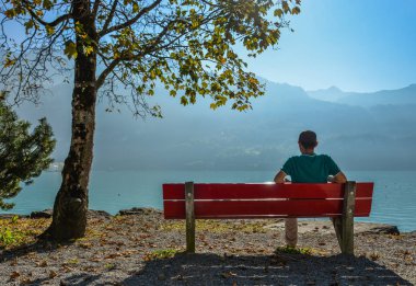 Lakeside Park Brienz, İsviçre ahşap Bank ile zevk genç bir adam.