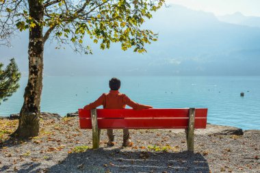 Lakeside Park Brienz, İsviçre ahşap Bank ile zevk genç bir adam.
