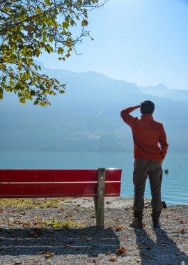 Lakeside Park Brienz, İsviçre ahşap Bank ile zevk genç bir adam.