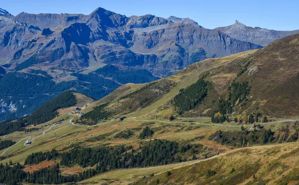 Alpine Peaks Grindelwald Jungfrau Switzerland Landskape Background Bernese Highland — Stock Photo, Image