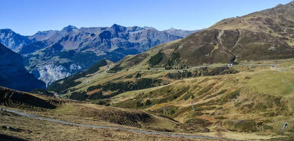 Alpine Peaks Grindelwald Jungfrau Switzerland Landskape Background Bernese Highland — Stock Photo, Image