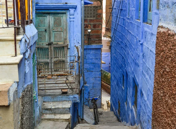 Jodhpur, Hindistan mavi binalarda. Jodhpur Rajasthan eyaletinde ikinci büyük kentidir.