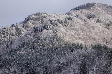 Shirakawago Köyü, Japonya kış sahne. Shirakawago merkezi Japonya'nın en popüler gezi yerlerinden biridir.