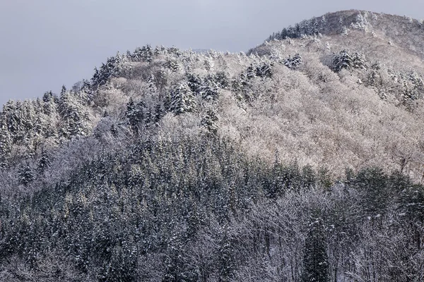 Shirakawago Köyü, Japonya kış sahne. Shirakawago merkezi Japonya'nın en popüler gezi yerlerinden biridir.