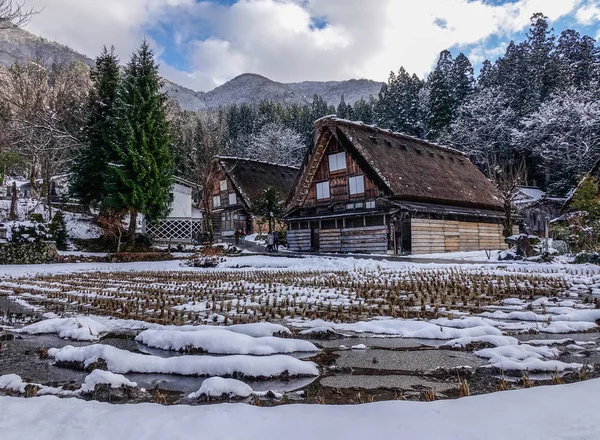 Tarihi Köy Shirakawago Kış Gifu Japonya Shirakawago Japonya Unesco Dünya — Stok fotoğraf