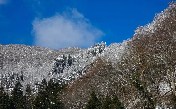 Shirakawago Köyü, Japonya kış sahne. Shirakawago merkezi Japonya'nın en popüler gezi yerlerinden biridir.