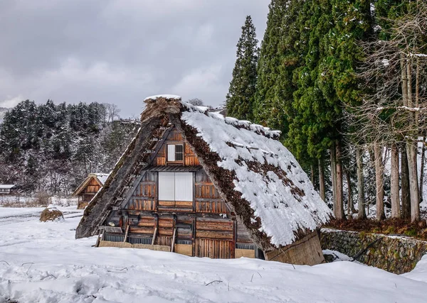 Antiguas Casas Shirakawago Village Invierno Gifu Japón Shirakawago Uno Japón —  Fotos de Stock