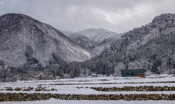 Paisaje Invernal Shirakawago Village Japón Shirakawago Uno Los Principales Destinos — Foto de Stock