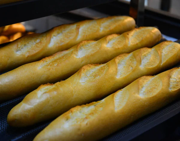 Muitos Pão Fresco Pronto Forno Padaria Uma Padaria — Fotografia de Stock