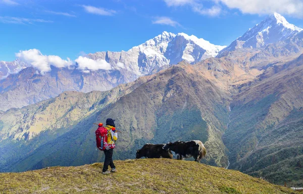 Jeune Randonneur Debout Regardant Pic Neige Montagne Népal — Photo