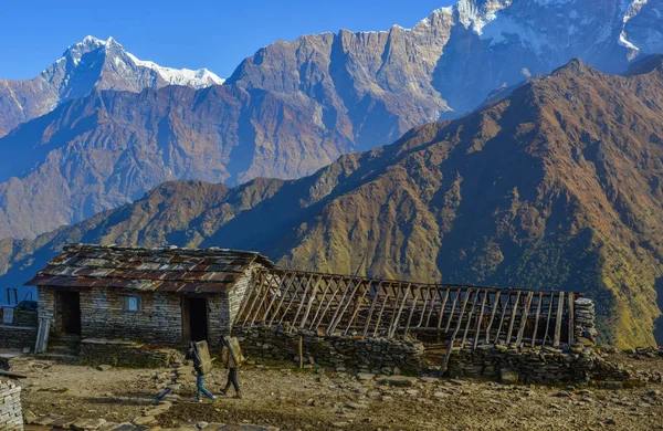 Hermosos Picos Nieve Cordillera Annapurna Nepal Annapurna Incluye Pico Más — Foto de Stock