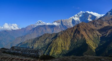 Güzel kar doruklarına Annapurna aralığı, Nepal. Annapurna bir tepe üzerinde 8000 metre içerir, Onüç 7000 metre doruklarına.