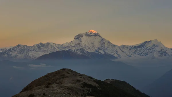 Pic Népal Annapurna Range Sous Lumière Soleil Aube — Photo