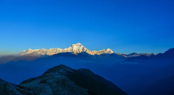 Pic Népal Annapurna Range Sous Lumière Soleil Aube — Photo